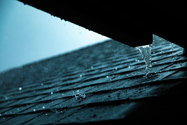 Water security for South African homes — JoJo tanks rainwater harvesting and restrictions guide
